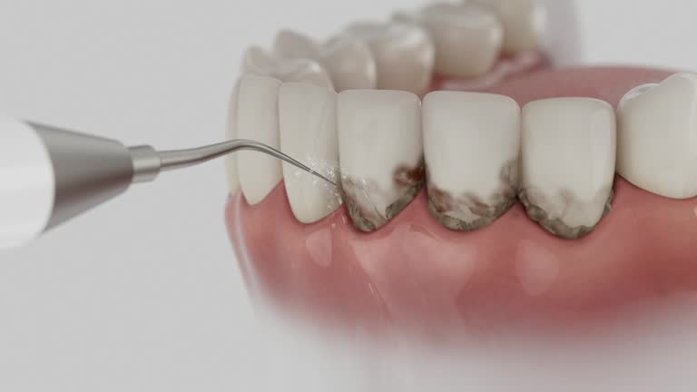 Reliable Dental contractor in Decatur County County, KS by Dentist Open Now